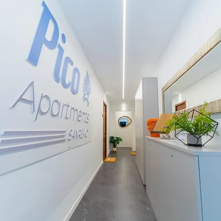 Lägenhet Pico 51
